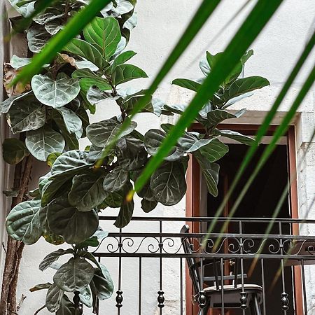 Casa Dei Delfini Hotel Rethimno Eksteriør billede