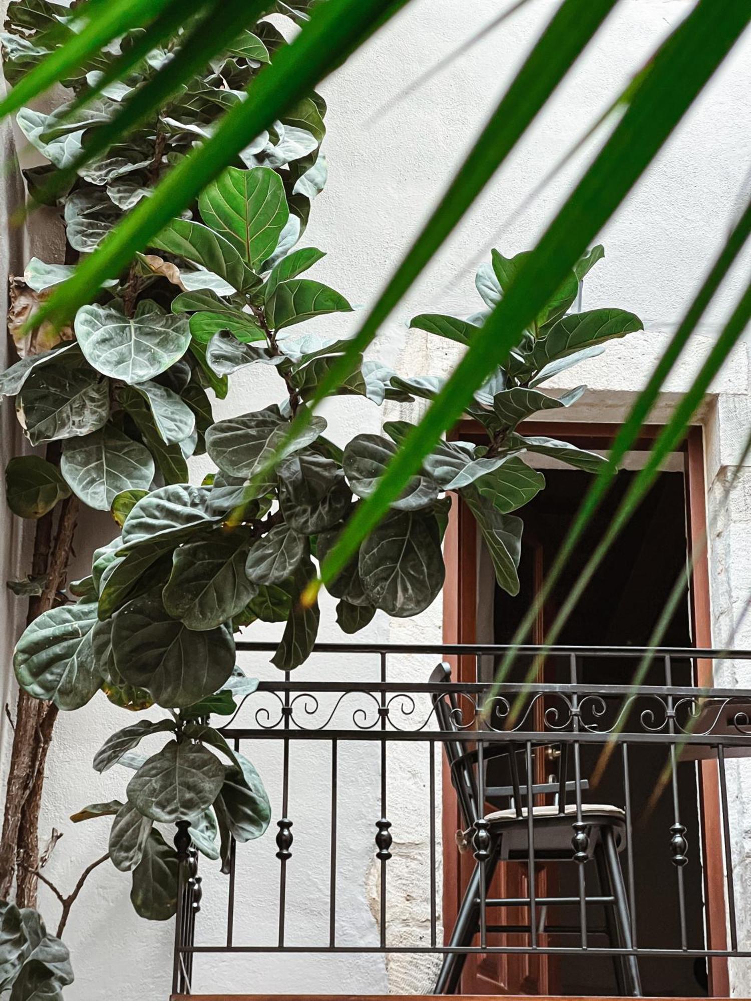 Casa Dei Delfini Hotel Rethimno Eksteriør billede